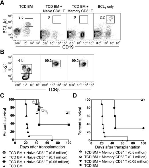 Figure 5. Survival, chimerism, and elimination of BCL1 tumor cells after transplantation of TCD BM with or without sorted naive or memory CD8+ T cells. (A) Representative 2-color flow cytometric analysis of CD19 versus BCL1-idiotype markers in the peripheral blood from recipients 28 days after total body irradiation (800 cGy), BCL1 cells, and a transplantation of 2 × 106 TCD BM cells with or without 0.5 million naive or memory phenotype CD8+ T cells. Untreated control recipients were given BCL1 only. The boxes enclose BCL1-idiotype–positive CD19+ cells, and percentages of cells in boxes are shown. (B) Representative flow cytometric analysis of peripheral blood at day 28 showing percentage of donor (H-2Kb+) cells among gated TCRβ+ cells. (C–D) Survival of lethally irradiated BALB/c hosts given 2 × 106 TCD BM cells from C57BL/6 donors with or without (n = 8) 0. 5 × 106, 0.1 × 106, or 0.05 × 106 sorted naive (n = 15; n = 9; n = 8; C) or memory phenotype phenotype (n = 12; n = 9; n = 8; D) CD8+ T cells. The data were pooled from 2 independent experiments.