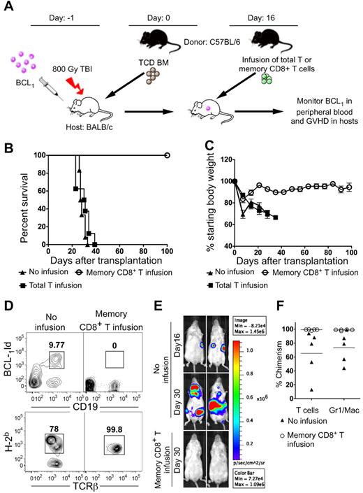 Figure 7. Survival, weight changes, chimerism, and blood-borne BCL1 cells in recipients with progressive tumor growth treated with infusion of total T cells or memory CD8+ T cells. (A) Experimental scheme. Lethally irradiated BALB/c recipient mice were injected with 100 BCL1 cells 6 hours after irradiation. The next day (day 0), they received 2 × 106 C57BL/6 TCD BM cells (n = 10). On day 16 after BMT, some mice received an intravenous infusion of 0.5 × 106 sorted memory phenotype CD8+ T cells (n = 8) or total T cells (n = 8). (B) Survival of recipients with or without infusion. (C) Percentage of starting body weight of host mice given TCD BM with or without infusion as in panel A. (D) Top panels shows 2-color flow cytometric analysis of CD19 versus BCL1-idiotype markers in the peripheral blood from recipients at day 28 after transplantation of 2 × 106 TCD BM cells with (right panel) or without (left panel) infusion. The boxes enclose BCL1-idiotype–positive CD19+ cells. Bottom panels show representative flow cytometric analysis of the peripheral blood at day 28 stained for donor (H-2Kb+) cells versus TCRβ+ cells among gated TCRβ+ cells. (E) Representative examples of BLI of lymphoma growth in mice with or without infusion. After total body irradiation, 100 BCL1-luc+–transduced lymphoma cells were injected into BALB/c hosts, followed by injection of 2 × 106 TCD-BM on the next day (day 0). Sixteen days after BMT, experimental mice received an infusion of 0.5 × 106 memory phenotype CD8+ T cells, and controls received no infusion. Imaging was performed days 16 and 30 after BMT. Two representative mice from each group of 5 mice are shown. (F) Percentage of donor-type cells among TCRβ+ and Mac1/Gr1+ cells in the blood and BMT recipients with and without memory-cell infusion.