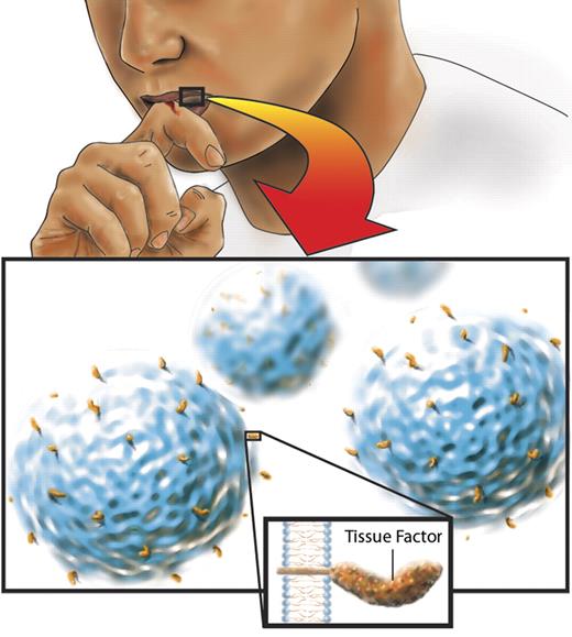 Tissue factor on microvesicles in saliva can cause blood to clot. This may provide the basis for the wound-licking reflex. Illustration by Nima Vaezzadeh.