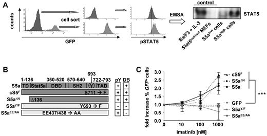 Figure 5. Survival of imatinib-treated v-Abl+ cells depends on the phosphorylation status of STAT5. (A) FACS profiles of cells infected with pMSCv-Stat5a-IRES-eGFP retrovirus before (left histogram) and after sort for GFP+ cells (middle histograms). Tyrosine phosphorylated STAT5 is shown in the right histograms. Right panel: Electrophoretic mobility shift assay of sorted GFP+ (S5ahigh) and GFP− (S5alow) cells for STAT5. Stat5null/null MEFs were used as negative control, and Ba/F3 stimulated with IL-3 were used as positive control. (B) Scheme of murine wild-type and mutant STAT5A variants. Mutants lacking the tyrosine phosphorylation (pY) site or having impaired DNA binding (DB) are indicated by either (+) or (−). (C) v-Abl+ cell lines expressing STAT5A, STAT5A mutants, or vector control along with GFP 24 hours after imatinib administration. The fold increase of GFP-expressing cells is shown. Error bars represent mean ± SD. ***P < .001 for a dosage of 1000nM imatinib (n ≥ 4/group).