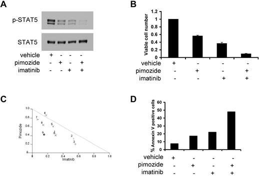 Figure 4. The combination of pimozide and imatinib leads to enhanced effects on STAT5 inhibition and apoptosis. (A) KU812 cells were treated with pimozide (5μM), imatinib (50nM), or both for 3 hours, after which immunoblot analysis was performed for phospho-STAT5 and total STAT5. (B) KU812 cells were treated with pimozide (5μM), imatinib (50nM), or both for 48 hours, after which viable cell number was measured using an ATP-dependent bioluminescence assay. (C) Isobologram analysis was performed based on change in viable cell number for 9 different combinations of pimozide and imatinib. Data points below the line indicate superadditive effects. (D) KU812 cells were treated with pimozide (5μM), imatinib (50nM), or both for 48 hours, after which flow cytometric analysis was performed. The percentage of cells staining with annexin V is shown. Data are representative of 3 independent experiments.