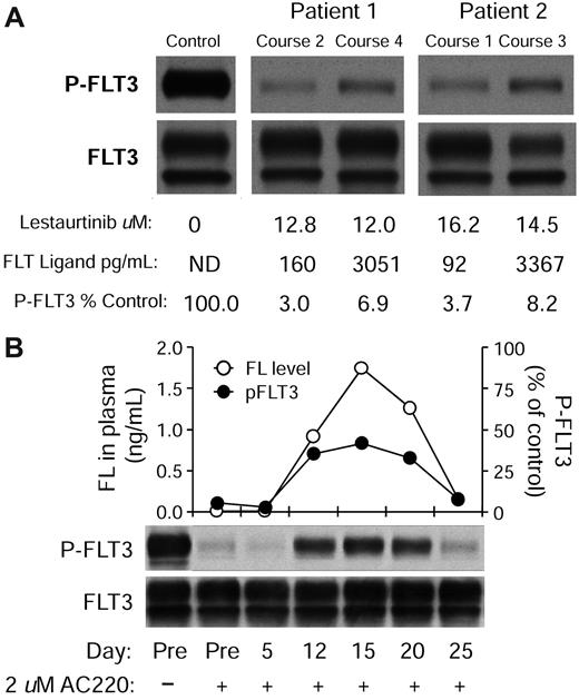 Figure 5. FL impairs inhibition of FLT3 autophosphorylation in vivo. (A) Plasma samples from 2 individual patients treated on the MRC AML15 trial were collected at different time points and then assessed for FLT3 inhibitory activity (PIA assay). Cells were exposed to the plasma for 3 hours and then lysed. FLT3 was immunoprecipitated, subjected to electrophoresis, and transferred to a membrane. The blot was probed with antiphosphotyrosine (top row), then stripped and reprobed with anti-FLT3 (bottom row). FL and lestaurtinib levels were determined from the same plasma samples as described in “FL ELISA” and “Pharmacokinetics.” (B) Plasma was collected from a single newly diagnosed AML patient at different time points after diagnosis and treatment with induction chemotherapy (cytarabine, daunorubicin, and etoposide). The plasma was assayed for FL levels by enzyme-linked immunosorbent assay and plotted (○). In parallel, AC220 was added to a concentration of 2μM for each time point and used to incubate Molm14 cells for 2 hours. Each sample was then assayed for FLT3 inhibitory activity as in panel A. The densitometric analysis of the phospho-FLT3 blot (top blot; ●).