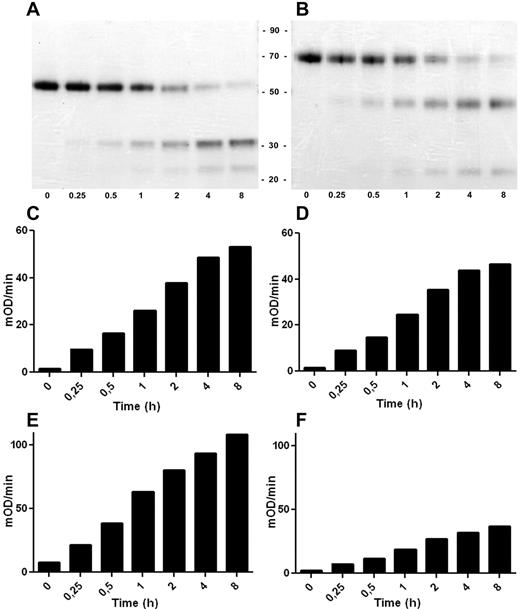 Figure 5. Activation and enzymatic activity of the FVII_XHC variant. FVII_XHC and FVII were incubated with FIXa and analyzed at different time points (0-8 hours). (A-B) The time courses of activation as judged by Coomassie-stained SDS-PAGE of FVII and FVII_XHC, respectively, run under reducing conditions. The amidolytic activity of the generated FVIIa (C) and FVIIa_XHC (D) was determined by measuring the turnover of the small chromogenic substrate S-2288. FX was used as the substrate to assess the proteolytic activity of the generated FVIIa (E) and FVIIa_XHC (F) (mean, n = 3; experimental details in “Activation and activity of FVII variants”).