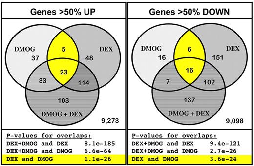 Figure 4. The PHI DMOG and Dex have overlapping effects on gene expression in BFU-E cells. Next-generation mRNA sequencing was performed on mRNA extracted from BFU-E (CD71 and CD24a10%high) cells cultured 4 hours in SFELE medium with 100nM Dex, with 333mM DMOG; or with both 100nM Dex and 333mM DMOG. Expression of the 9636 most highly expressed genes (multiplied RPKM > 0 from the 4 groups) from cells treated with Dex, DMOG, and DEX + DMOG was compared with cells cultured in SFELE medium only. The left Venn diagram shows the overlap of the genes that increased > 50%, whereas the Venn diagram to the right shows overlap of genes that decreased to < 50% of that in unstimulated BFU-Es. Significance of the overlapping genes was computed with the use of hypergeometric distribution over all genes detected in any of the samples. The statistical significance of each respective overlap is presented below each diagram. The individual genes in each overlapping group are listed in supplemental Tables 5 and 6.