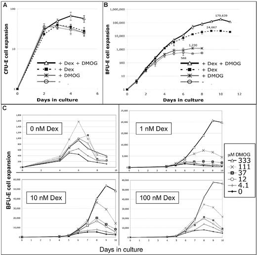 Figure 5. DMOG synergizes with Dex to increase the number of erythroblasts formed from a BFU-E cell 300-fold. The experimental protocol was similar to that used in Figure 2A and B except that the CFU-E and BFU-E cells were purer (CD71andCD24a20%high and CD71andCD24a10%low, respectively). The improved method provided a BFU-E population that formed 94% BFU-E, 5% CFU-E, and 1% other myeloid colonies in colony-forming assays with a plating efficiency of 70% (supplemental Table 2). Cultures contained or not 100nM Dex and/or 333μM DMOG. (A) Proliferation of sorted CFU-E cells. Cells do not increase proliferation in response to Dex or DMOG alone, whereas a combination of both Dex and DMOG increase proliferation 1.7-fold (P < .05; n = 6). Error bars show 1 SD. (B) Proliferation of sorted BFU-E cells (n = 4). The maximum increase in proliferation (compared with day 6 with no Dex or DMOG) was 2-fold with DMOG (day 7), 42-fold with 100nM Dex (day 9), and 306-fold with both Dex and DMOG (day 10). The synergistic effect is shown by the fact that DMOG increases the stimulatory effect of Dex on proliferation 7.3-fold (more than the additive 1.7-fold increase). Error bars show 1 SD. (C) BFU-E cells were cultured in SFELE medium containing 0nM, 1nM. 10nM, or 100nM Dex with different concentrations of DMOG. Cells were counted from day 4 until the day cell counts dropped. The y-axis shows the average expansion of several thousand BFU-E cells plated in each experiment. Without Dex 333μM DMOG had little effect on BFU-E proliferation, whereas adding 1nM Dex allows 333μM DMOG to enhance maximum BFU-E proliferation 12-fold. (n = 4) At the endpoint of the BFU-E cell cultures, 95% of cells were erythroblasts (Figure 6C; supplemental Figure 6B,D).
