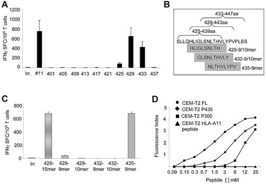 Figure 3. Identification of an immunodominant, HLA-A*02–restricted PRAME epitope. When we minimized subpool 11 in ten 15-mer overlapping peptides, IFNγ production by PRAME-CTL was directed against the P435/NLT peptide. (A) Reactivity of PRAME-CTLs was predominantly directed against two 15-mers, P429 and P433. (B) Five predicted HLA-A*02–binding peptide motifs in this region using 2 computational algorithms (SYFPEITHI and BIMAS; Table 3). (C) IFNγ production by 8 PRAME-CTL lines against the 5 minimized epitopes. Although some IFNγ production was observed against the P429-9mer (HLI), the most significant response was observed for the P435-9mer (NLT). (D) Stabilization assay of the new epitope P435/NLT for the HLA-A*02 molecule using a T2-binding assay. An HLA-A11–restricted peptide was used as a negative control. FL, a hepatitis B virus core antigen with high HLA-A*0201–binding affinity, was used as a positive control. The affinity of P435/NLT was superior to that of the previously described P300/ALY.