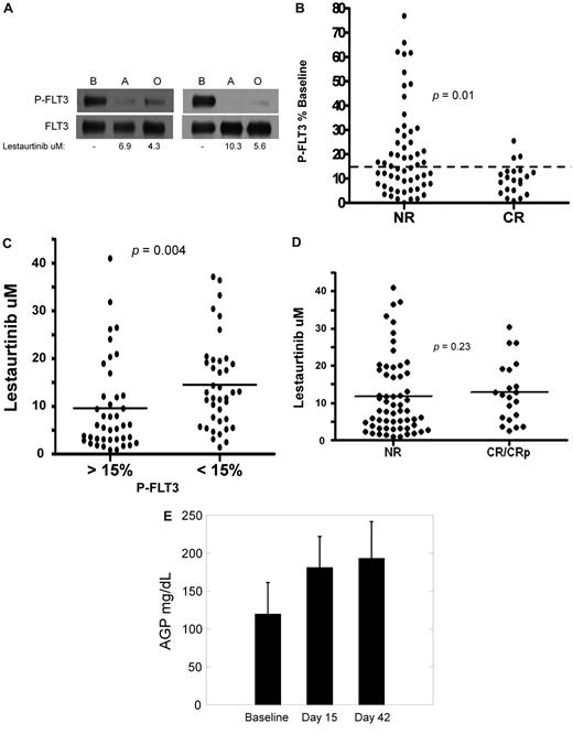Figure 4. Pharmacokinetic and pharmacodynamic correlatives. (A) PIA assay for FLT3 in trial patients. Shown are results from 2 separate patients on the lestaurtinib arm. The upper blots were probed with antiphosphotyrosine. The blots were stripped and reprobed for total FLT3 (lower blots). Shown below the blots are the measured levels of lestaurtinib from plasma obtained at the same time points as that used in the assay. B indicates baseline; A, aplasia; and O, outcome. (B) FLT3 inhibition grouped according to response. Results from individual FLT3 PIA assays from the aplasia assessment are plotted, grouped according to whether or not the patient attained a complete remission. The dashed line indicates the targeted level of 15% of baseline FLT3 activity. (C) Lestaurtinib plasma level grouped according to FLT3 inhibition. Results from individual measurements of plasma lestaurtinib at the aplasia assessment are plotted, grouped according to whether or not the plasma inhibitory activity for FLT3 from the same time point was above (inadequate inhibition) or below (adequate inhibition) the 15% target level. (D) Lestaurtinib plasma level grouped according to response. Results from individual measurements of plasma lestaurtinib at the aplasia assessment are plotted, grouped according to whether or not the patient achieved a complete remission. NR indicates no response. (E) AGP levels. AGP concentrations (milligrams per deciliter of plasma) were determined using an immunodiffusion assay from plasma samples obtained at baseline, the aplasia assessment (day 15), and the outcome assessment (day 42).