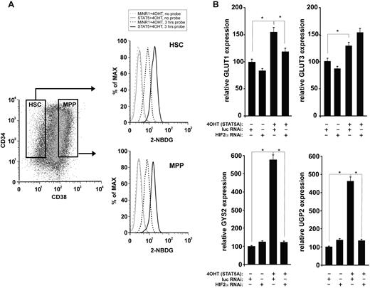 Figure 5. Glucose uptake is enhanced upon STAT5 activation. (A) Cord blood CD34+ cells were transduced with STAT5-ER and cells were stimulated with 100nM 4-OH for 24 hours as indicated. The glucose probe 2-(N-(7-nitrobenz-2-oxa-1,3-diazol-4-yl)amino)-2-deoxyglucose (2-NBDG) was added for 3 hours, and then glucose uptake was analyzed by FACS in the CD34+/CD38− HSC compartment and the CD34+/CD38+ multipotent progenitor (MPP) compartment. (B) Cord blood CD34+ cells were transduced with MiNR1 control or STAT5-ER together with luciferase RNAi control or HIF2α RNAi constructs, and double-transduced cells were sorted. Sorted cells were stimulated with 100nM 4-OH for 24 hours, and then RNA was isolated for real-time Q-PCR analysis. *P < .05.