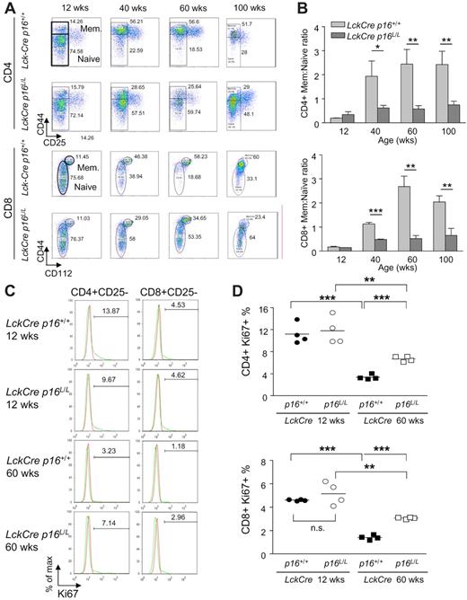 Figure 3. Attenuation of peripheral T-cell immune aging phenotypes by T cell–specific deletion of p16INK4a. (A) Representative flow analyses of CD4+ (top) and CD8+ (bottom) splenocytes showing the effect of T cell–specific p16INK4a deletion on age-associated changes in memory and naive T-cell fractions. Memory and naive T cells are identified as described in Figure 1C. (B) Quantification of data from panel A showing the effect of T cell–specific p16INK4a deletion on the ratio of memory versus naive T cells with aging in the CD4+ and CD8+ compartments; n = 5 mice per group. (C) Representative flow analyses showing the effect of aging and T cell–specific p16INK4a deletion on homeostatic proliferation as measured by Ki67 expression in nonactivated (CD25−) CD4+ or CD8+ T cells from mice of indicated ages and genotypes. (D) Quantification of Ki67 expression as shown in panel C, n = 4 mice per group. Error bars indicate SEM; *P < .05, **P < .01, ***P < .001.