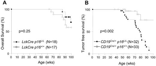 Figure 5. Kaplan-Meier survival curves with p16INK4a deletion in B or T lymphocytes. (A) Overall survival of Lck-Cre p16+/+ and Lck-Cre p16L/L mice. (B) Tumor-free survival of CD19Cre/+ p16+/+ and CD19Cre/+ p16L/L mice.