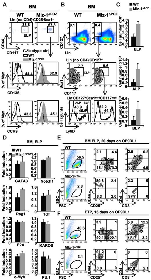 Figure 2. Loss of Miz-1 POZ domain affects frequencies of bone marrow ELPs, ALPs, and BLPs and in vitro differentiation of ETPs and ELPs. (A) ELPs were gated on Lin− no CD4, CD25− Sca1+CD44+CD117+ (top panel) and further analyzed for CD135 and CCR9 expression (bottom panel). The plots are composed of an overlay of the CD135 or CCR9 staining in black (WT) or gray (Miz-1ΔPOZ) with the matching isotype control antibodies staining (dotted black; n = 4). (B) Bone marrow Lin−CD127+Sca1medCD117med CLPs were examined for the expression of Ly6D dividing the progenitor population into Ly6D− ALPs and Ly6D+ BLPs. (C) Percentages of positive cells in panels A and B are calculated relative to the total live cells and expressed as absolute cell count (n = 4 for ELPs and n = 2 for ALPs and BLPs). (D) Quantitative real-time PCR analysis of target genes involved in ELP development. RNA was extracted from 5000 sorted bone marrow ELPs from WT and Miz-1ΔPOZ mice. All values are presented as fold induction relative to values obtained with the respective wild-type control. Average of triplicate values and SD are shown (n = 3). FACS analysis indicating the development of sorted Lin− no CD4, CD25− Sca1+CD44+CD117+ ELPs (E) and ETPs (F) from the bone marrow and thymus of WT or Miz-1ΔPOZ mice. Fifty sorted ETPs or ELPs were cocultured on OP9DL1 stroma cells for 15 or 20 days in T-cell media. The developmental progression of the cells is evaluated by flow cytometry using T-cell markers CD44, CD25, CD4, and CD8 (n = 4).