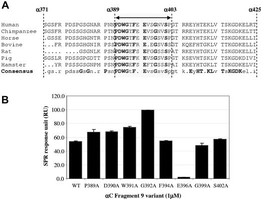 Figure 4. Identification of a key fibrinogen αC amino acid residue involved in binding activated rFXIII-A. (A) Multiple sequence alignment36 of fibrinogen αC region 371-425 in 7 species to identify conserved residues for site-directed mutagenesis within the activated rFXIII-A binding region of α389-403. Amino acid residues highlighted in bold are highly conserved. (B) Displays the binding of each α fragment 9 variant to activated rFXIII-A by SPR. Each α fragment 9 variant (1μM) was injected for 60 seconds over immobilized activated rFXIII-A at a flow rate of 30 μL/min. The SPR response at 55 seconds was plotted for each of the variants and compared with wild-type (WT) α fragment 9 (n = 3). Error bars show ± 1 SD.