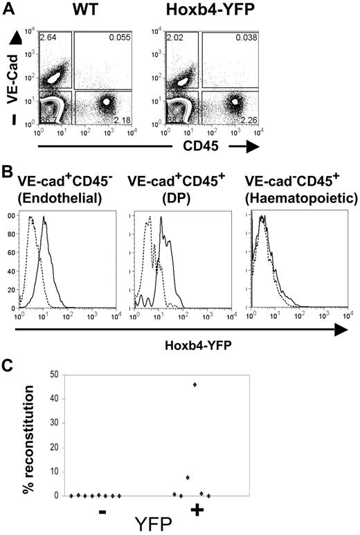 Figure 3. Hoxb4 is expressed in CD45+CD144+ cells and HSCs from the E11.5 AGM. (A) AGM regions from WT and Hoxb4YFP/+ embryos were analyzed by flow cytometry with the use of CD45 and VE-cadherin markers. (B) Histograms comparing YFP fluorescence are shown for the endothelial, hematopoietic, and double-positive (DP) cell populations. In the histograms dashed lines indicate WT and solid lines indicate Hoxb4YFP/+ cells. (C) Cells from E11.5 AGM region were sorted on the basis of YFP expression and injected into irradiated recipients. Donor contribution to the peripheral blood is displayed (data obtained from 2 independent experiments).