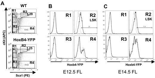 Figure 4. Hoxb4 is down-regulated in the fetal liver. Flow cytometric analysis of FL cells from WT and Hoxb4YFP/+ embryos at E12.5 and E14.5. (A) Gating of the LSK population is shown by 4 gates representing the major populations, marked R1 to R4. (B) Comparison of gated populations R1 to R4 indicated in panel A showing YFP expression at E12.5. In the histograms dashed lines indicate WT and solid lines indicate Hoxb4YFP/+ cells. (C) Labeling is identical to panel B but at E14.5. The fold change in mean fluorescence intensity between WT and Hoxb4YFP/+ at E12.5 is 2.39 (SD = 0.35) and at E14.5 is 1.48 (SD = 0.087); P = .02. Data are representative of 3 independent experiments.
