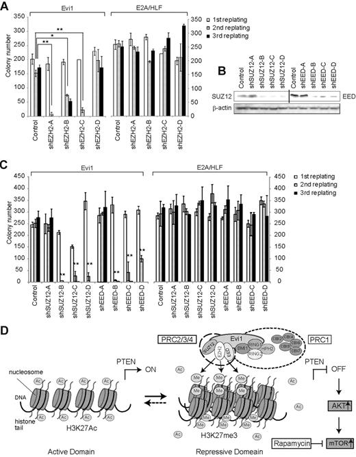 Figure 7. PcG proteins are required for the serial replating capacity of Evi1-transduced BM cells. (A,C) Serial replating capacity of Evi1-expressing cells was markedly reduced with EZH2 (A), SUZ12, or EED (C) shRNAs (n = 8 from 4 independent experiments. Error bars indicate SD; *P < .01 and **P < .001; P values were calculated by comparisons with the colony numbers of control cells at the second replating. (B) RNAi of SUZ12 and EED. (D) A scheme showing that Evi1 recruits polycomb complexes to the PTEN promoter and represses PTEN transcription through H3K27me3-mediated chromatin remodeling, which, in turn, activates downstream AKT/mTOR pathway.