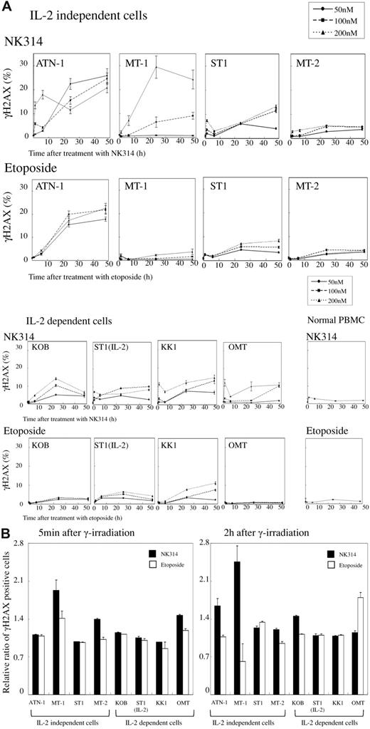 Figure 3. Induction of DNA DSB in ATL cells by NK314 or etoposide and comparison of DNA repair capacity in NK314- or etoposide-treated cells after irradiation. (A) After treatment with the indicated concentrations of NK-314 or etoposide, induction of γH2AX+ foci was determined by flow cytometry using an H2A.X Phosphorylation Assay Kit. The percentage of γH2AX+ foci was calculated by dividing by the number of cells without treatment by the compounds. (B) DNA damage induced by combination treatment with irradiation and the compounds at a dose of 200nM was determined by induction of γH2AX+ foci. DNA damage is expressed as relative ratios of number of γH2AX+ cells at time points of 5 minutes and 2 hours after treatment divided by that of γH2AX+ cells without treatment by the compounds at each time point.
