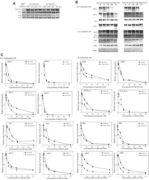 Figure 4. Degradation of DNA-PKcs induced by NK314 in ATL cells. (A) Expression of DNA-PK complex in various ATL cell lines and normal CD4+ lymphocytes was detected using Western blot analysis. The results with normal CD4+ cells were obtained from a different gel in the same experiments with the others. Vertical line(s) have been inserted to indicate a repositioned gel lane. (B) Degradation of DNA-PKcs was determined after treatment with NK314 or etoposide at each time point using Western blot analysis. (C) Contribution of DNA-PK to the inhibition of cell growth by NK314 in ATL cell lines. Cells were treated with etoposide or NK314 with or without NU7026 (NU), a DNA-PK inhibitor. Number of cells was determined with Cell Counting Kit-8. Relative ratio of cell growth was calculated by dividing by the number of untreated cells and expressed as mean ± SD of triplicate analyses.
