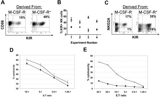 Figure 7. NK cells derived from myeloid (M-CSFR+) precursors show abundant KIR expression and higher cytotoxicity compared with lymphoid (M-CSFR−) precursors. (A) Expression of KIR (combination of CD158a, CD158b, and CD158e1) is higher on NK cells derived from myeloid (M-CSFR+) precursors (right) compared with M-CSFR−–derived NK cells (left). A representative donor is shown (n = 4). (B) Percentages of KIR+ NK cells derived from CD56−CD117+M-CSFR+ (▵) and CD56−CD117+M-CSFR− (●) progenitors for 4 individual donors are shown (mean ± SEM; > 3 replicates for each donor). P < .001, by 2-way analysis of variance. (C) Expression of NKG2A and KIR on CD56-gated NK cells derived from CD56−CD117+M-CSFR− (left) and CD56−CD117+M-CSFR+ (right) progenitors. Shown is the presence of a potentially alloreactive population of NKG2A-KIR+ population in the population derived from the CD56−CD117+M-CSFR+ progenitors. (D) Cytotoxicity of M-CSFR+–derived (▵) and M-CSFR−–derived (■) NK cells against K562 targets and (E) against 721.221 human leukocyte antigen–negative B-lymphoblastoid cell line. Data points represent average cytotoxicity of triplicates ± SD at the specified effector-to-target (E:T) ratios. A representative donor is shown (n = 3).