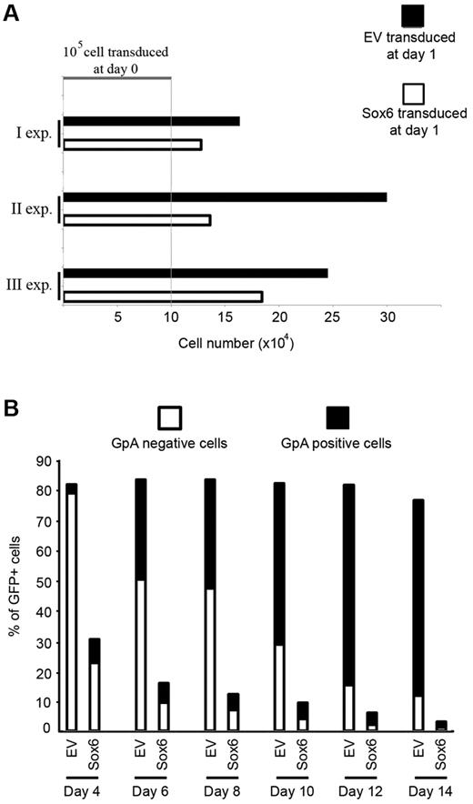 Figure 3. Sox6 transduction of cord blood–derived CD34+ cells causes early loss of progenitor cells. (A) CD34+ cells transduced with Sox6 grew more slowly than EV-transduced cells. A total of 105 freshly purified CD34+ cells were transduced and counted 24 hours after transduction in 3 independent experiments. Black bars indicate EV-transduced cells; white bars: Sox6-transduced cells; and exp, experiment. (B) FACS analysis on CD34+ transduced cells at different time points after transduction. The x-axis represents days after transduction; y axis, percentage of GFP+ cells. Different colors in the histogram columns represent the proportion of GFP+ cells that were GpA− (white) or GpA+ (black), respectively.