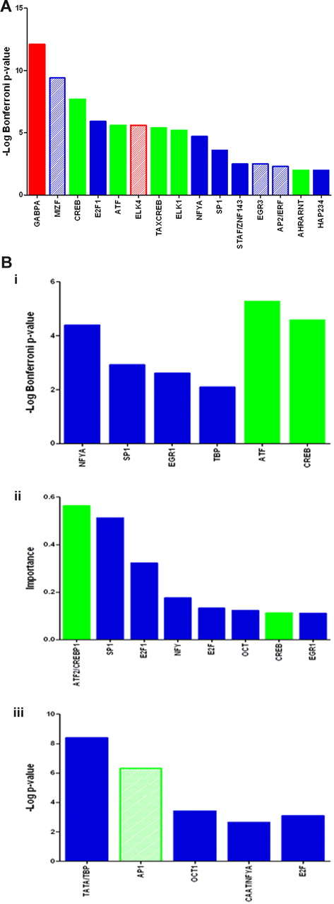 Figure 5. TFBSs significantly associated with CHE and DE_SigUP. (A) Transcription factor analysis of genes that are consistently highly expressed during erythroid maturation (CHE). Significant TFBS from Pscan output querying the JASPAR and TRANSFAC databases are shown. Green bars indicate bZIP TFBSp; red bars, ETS factor TFBS; solid bars, the TFBS was detected as significant by more than one of the 3 programs Pscan, DiRE, and CONFAC; and hashed bars, the TFBS was detected as significant by Pscan only. (B) Transcription factor analysis of genes that are significantly up-regulated during erythroid maturation (DE_SigUp). (i) Significant TFBS from Pscan output querying the JASPAR and TRANSFAC databases. (ii) Significant TFBS from DiRE output (only TFBS, which are also present in Pscan or CONFAC output or in bZIP factor family returned by Pscan search against JASPARFam database are shown). (iii) Significant TFBS from CONFAC output returned with a mean difference of the number of TFBS for each promoter between sample and control greater than 0.5 (only TFBS, which are also present in Pscan or DiRE outputs or in bZIP or ETS factor families returned by Pscan search against JASPARFam database are shown). Green bars represent bZIP TFBS; solid bars, the TFBS was detected as significant by more than one of the 3 programs Pscan, DiRE and CONFAC; and hashed bars, the TFBS was detected as significant by a single program only.