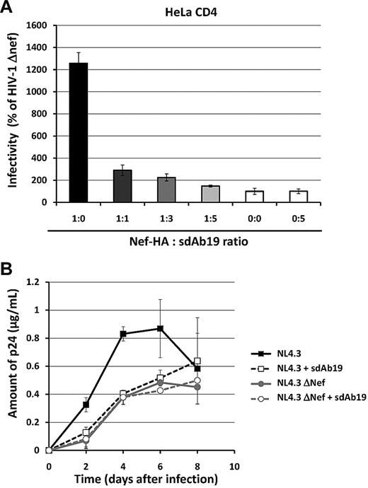 Figure 5. sdAb19 inhibits Nef-mediated enhancement of virus infectivity and the Nef-positive effect on virus replication. (A) Single-round GFP reporter viruses were produced in 293T cells in the absence or presence of increasing amounts of the plasmid expressing sdAb19. Forty-eight hours later, viruses were pelleted from cell culture supernatants and were used to infect HeLa-CD4 cells. The percentages of GFP-positive infected cells were then measured by flow cytometry 60 hours later. Viral infectivity was normalized to that of viruses produced in the absence of Nef. (B) WT (black curves) or ΔNef (gray curves) replication-competent viruses were produced in 293T cells in the absence (plain lines) or the presence of sdAb19 (dashed lines) in a 1:1 ratio and were used to infect PBMCs. Aliquots of cell culture supernatant were collected 2, 4, 6, and 8 days after infection for CAp24 quantification.