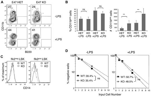 Figure 1. E47-deficient HSCs show efficient myeloid differentiation under pathogen-free conditions and after stimulation with LPS. (A-B) Flk2− LSKs from E47 HET or KO mice were cultured at 300 cells per well in 96-well plates for 72 hours in the presence or absence of 10 μg/mL LPS. Cells were harvested, counted, and stained with lineage specific antibodies. The number and frequency of CD11b+ myeloid cells were measured (n = 9 wells). **P < .05. ns indicates not significant. The data are representative of 2 independent experiments. (C) The expression of CD14 on flk2− LSKs and flk2+ LSKs from WT and KO littermates was examined by flow cytometric analysis. The data are representative of 2 independent experiments. (D) flk2− LSKs from E47 WT or KO mice were cultured in MethoCult at 1, 2, and 5 cells per well in 96-well plates for 7 days in the presence or absence of 10 μg/mL LPS. Wells with colony-forming unit-granulocyte, macrophage colonies were scored positive. The frequency of colony-forming cells was calculated according to Poisson statistics (n = 48 wells per group). The data are representative of 2 independent experiments.