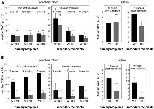 Figure 3. E47-deficient HSCs display poor self-renewal efficiency in vivo. Serial transplantation was performed to examine the long-term self-renewal efficiency of HSCs from WT and E47 KO mice. The bone marrow cells from WT and E47 KO littermates were first adoptively transferred into primary recipients for 16 weeks and then serially transferred into secondary recipients. Blood reconstitution was measured monthly. Recipients were killed at 16 weeks after transplantation, and lineage reconstitution in the spleen was examined. Myeloid or lymphoid reconstitution efficiency was indicated by the number of donor-derived CD45.2+ Gr-1+ cells (A) or CD3+ cells (B), respectively (n = 6 to 8 mice per group). **P < .05. ns indicates not significant.