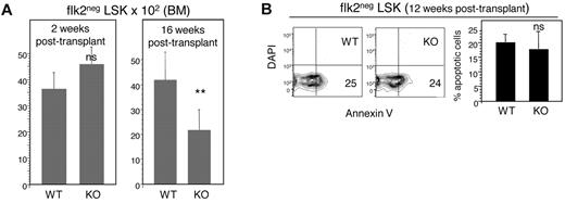 Figure 4. E47 null HSCs show normal homing, niche engraftment, and apoptosis. (A) CD45.2 WT or E47 KO bone marrow cells (2 × 106) were injected into lethally irradiated CD45.1 recipient mice. The number of donor-derived flk2− LSKs was examined at 2 weeks (n = 3 mice) and at 16 weeks (n = 8 mice) after transplantation. (B) Lethally irradiated CD45.1 recipient mice reconstituted with E47 KO or WT CD45.2 donor bone marrow cells were killed at 12 weeks after transplantation. The bone marrow cells from these recipients were stained with antibodies to resolve donor-derived CD45.2 flk2− LSKs and then labeled with annexin V and DAPI for apoptosis analysis. (Left panels) Representative flow cytometry profiles used to generate the bar graph on the right (n = 3 mice). **P < .05. ns indicates not significant.