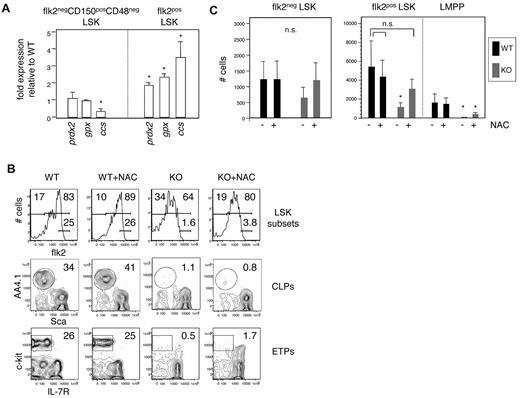 Figure 7. Antioxidant restoration of E47-deficient MPPs. (A) Quantitative PCR analysis of redox-associated genes in purified HSCs (flk2−CD150+CD48− LSKs) or MPPs (flk2+ LSKs) from E47 KO mice compared with E47 WT mice. Data are mean ± SD of triplicate wells, representative of 2 or 3 independent sorts. *P < .05. (B) Mice treated with 1 mg/mL N-acetyl cysteine in the drinking water were killed after 14 days, and lymphoid organs stained to detect bone marrow multipotent progenitors (flk2− and flk2+ LSKs), common lymphoid progenitors (CLPs: lin−IL7R+AA4.1+Sca-llo), and early thymic progenitors precursors (ETPs: lin−CD44+CD25+c-kit+IL-7R−). (C) Quantitation of hematopoietic subsets in B (n = 5 mice/group). *P < .05. ns indicates not significant.