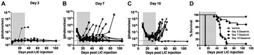 Figure 2. Dasatinib therapy initiated at different times after leukemia initiation determines response to therapy. Weekly whole-animal luminescent imaging of recipients of 2 × 105 Arf −/−p185+luc+ LICs were acquired over the course of a 4-week dasatinib treatment window (depicted by gray shading in each panel) and thereafter at indicated intervals until clinical relapse or termination of the experiment. Dasatinib therapy was begun in 3 cohorts of recipient mice that had acquired progressively increased leukemic burdens 3 (A), 7 (B), or 10 (C) days after receipt of LICs (Figure 1). Whole-animal luminescent signals (photons/s/cm2/sr) for each recipient mouse are plotted as solid lines that depict image intensity (ordinate) versus time in days after injection of LICs (abscissa). The empirically determined lower limit of sensitivity for whole-animal luminescence, derived from imaging of control nonleukemic animals, is indicated by the dotted line at the bottom of each panel. (D) Kaplan-Meier curves summarizing overall leukemia-free survival in each of the 3 cohorts of mice that received 4 weeks of continuous twice-daily (10 mg/kg/dose) dasatinib therapy.