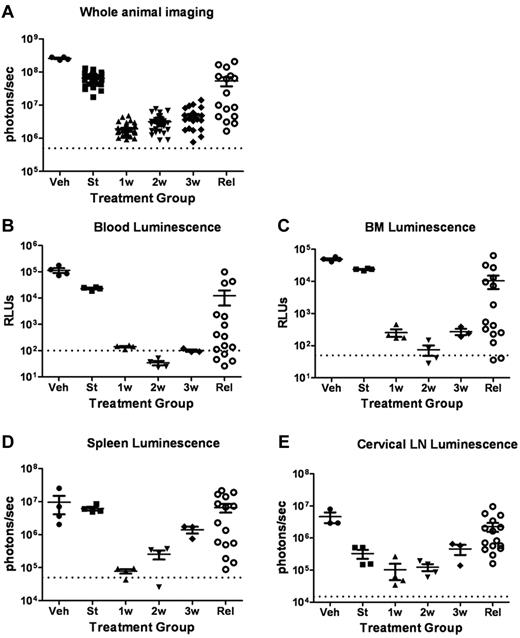 Figure 3. Dasatinib therapy induces initial responses followed by clinical relapses. (A) Whole-animal luminescent signals (photons/s/cm2/sr) from recipient mice that received 2 × 105 Arf −/−p185+luc+ LICs were acquired at the start (St) of dasatinib therapy 10 days after injection of LICs (n = 36). Serial images were obtained 1 week (1w; n = 37), 2 weeks (2w; n = 31), or 3 weeks (3w; n = 27) after twice-daily (5 days per week) dasatinib therapy or at clinical relapse (Rel; n = 16). For comparison, the imaging signals obtained from moribund, vehicle-treated mice (Veh; n = 4) are also presented. Median values ± standard errors are indicated by horizontal lines and brackets, respectively. (B-E) Quantitative in vitro luminescence intensities plotted as relative light units (RLUs, ordinate) were performed on 100 μL of erythrocyte-free whole blood (B) and 1 × 106 suspended bone marrow (BM) cells (C) prepared from representative mice taken from cohorts depicted in panel A. In situ spleen (D) and cervical lymph node (LN) luminescence signals (E) recorded in photons/second (ordinate) were acquired from intact whole tissues. Four mice were analyzed in each group (except Rel, where n = 15). Values in panels B-E are presented as median ± SE. The empirically determined lower limits of sensitivity are indicated by dotted lines at the bottom of the panels.