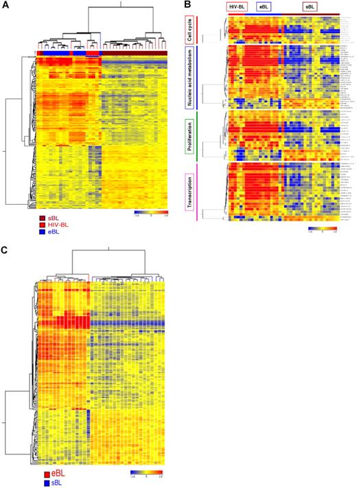 Figure 3. BL subtypes present with differences in their GEPs. (A) Supervised approach identified 222 probe sets differentially expressed in eBL versus sBL versus HIV-BL (Kruskal-Wallis test). (B) The corresponding genes belonged to relevant functional categories, including cell cycle regulation, nucleic acid metabolism, proliferation, and transcription. (C) Supervised analysis of eBL versus sBL identified 129 genes differentially expressed.