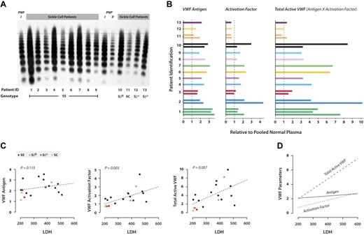 Figure 1. VWF reactivity in SCD. (A) VWF multimer distribution. The VWF multimer distribution was examined in plasma from either sickle cell patients or pooled normal plasma by electrophoresis followed by Western blotting. For each of the sickle cell patients, 0.5 μL of plasma was loaded. For pooled normal plasma, PNP I and PNP II, 1 μL and 0.5 μL of plasma was loaded, respectively. The samples were labeled according to the patient identification number and grouped by genotype. The dashed line is drawn slightly above the highest multimer in pooled normal plasma. The multimers above the dashed line in samples of sickle cell patients are considered ULVWF. (B) VWF parameters. Data from different patients are presented in different colors; patients 1, 2, 3, 10, and 11 provided multiple samples. The values expressed are relative to those obtained with pooled normal plasma, which was arbitrarily assigned a value of 1, as indicated by the dashed lines in each panel. The assays were performed independently 2 or 3 times per sample; average values are shown. VWF antigen was measured by sandwich ELISA using a polyclonal VWF antibody as the capture antibody, and the captured VWF was detected with a horseradish peroxidase–conjugated polyclonal VWF antibody. VWF:AF was determined using AU/VWFa-11 as the capture antibody in ELISA, and the bound VWF was detected by a horseradish peroxidase–conjugated polyclonal VWF antibody. VWF:TA in the plasma was determined by multiplying the VWF antigen concentration by the VWF-AF. (C) Correlation between VWF parameters and LDH. The association between LDH and each of the VWF variables was assessed by fitting mixed-effects regression models. The estimated regression line has been superimposed on the corresponding graph. The number of patients was 13, and the number of observations was 19. LDH concentration correlated significantly with VWF:AF (P = .003) and VWF:TA (P = .007) but not with VWF antigen concentration (P = .115). Patients with different genotypes are identified by different colors: black represents SS; blue, Sβ0; red, Sβ+; and green, SC. (D) VWF:TA correlates best with LDH. When the regression lines for VWF antigen, VWF:AF, and VWF:TA were plotted on the same scale, the slope of the regression line between VWF:TA and LDH was the steepest, indicating that VWF:TA is more sensitive to changes in LDH than VWF:Ag or VWF:AF.