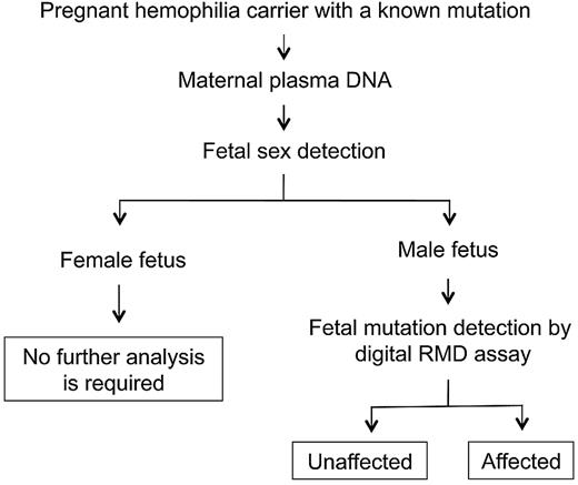 Figure 3. Schematic illustration of the workflow for noninvasive prenatal diagnosis of hemophilia by circulating DNA analysis in maternal plasma.
