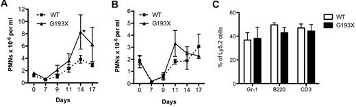 Figure 3. Stress granulopoiesis in G193X Elane mice. (A) Wild-type or G193X Elane mice on a 129/SvJ (A) (n = 9-10) or C57BL/6 (B) (n = 3-4) background were treated with a single intraperitoneal injection of 5-FU (200 mg/kg) on day 0. The absolute neutrophil count was determined at the indicated time points. (C) Wild-type or G193X Elane mice on a C57Bl/6 background (Ly5.2) were mixed with an equal number of congenic wild-type bone marrow cells (Ly5.1/5.2) and injected into irradiated congenic (Ly5.1) mice. The percentage of Ly5.2 cells in the indicated lineage is shown at 16 weeks after transplantation (n = 4-5). Data represent the means ± SEM. *P < .05.