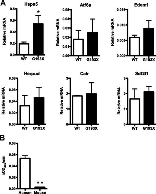 Figure 4. UPR activation in G193X Elane granulocytic precursors. (A) Real-time RT-PCR for the indicated genes was performed on RNA isolated from cultured wild-type (WT) or G193X Elane granulocytic precursors. Shown is the mRNA expression relative to β-actin mRNA. Data represent the means ± SEM of 4-9 samples. (B) Elastolytic activity in human or mouse bone marrow was measured using the chromogenic NE-specific substrate N-methoxysuccinyl Ala-Ala-Pro-Val p-nitroanilide. Shown is the change in optical density at 405nm (OD405) per minute after normalizing for input protein. Data represent the means ± SEM of 2-4 samples. *P < .05; **P < .001.