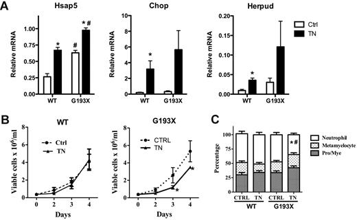 Figure 5. Tunicamycin-induced alterations in the proliferation and differentiation of G193X Elane granulocytic precursors. Cultured granulocytic precursors were treated with tunicamycin (0.5 μg/mL) or vehicle alone on day 0. (A) Real-time RT-PCR for Hsap5, Chop, and Herpud was performed on cells 24 hours after exposure to tunicamycin (TN) or vehicle alone (Ctrl). RNA expression relative to β-actin is shown. (B) Viable cells were quantified by flow cytometry as annexin V− 7-actinomycin D− cells. (C) Manual leukocyte differentials (200-cell count) were performed on day 4 after treatment with tunicamycin. Neutrophil indicates segmented and band neutrophils; Pro/Mye, promyelocytes and myelocytes. Data represent the means ± SEM of 4-8 samples. *P < .05 compared with saline-treated cells of the same genotype; #P < .05 compared with wild-type mice in the same treatment group.