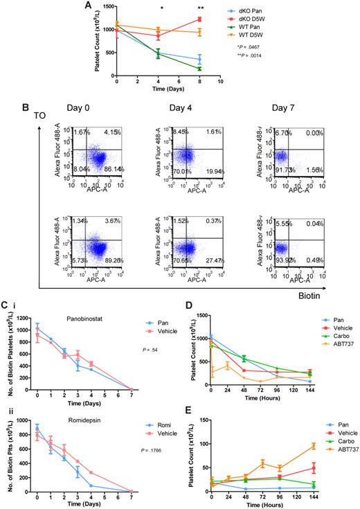 Figure 2. HDACIs have no effect on platelet apoptosis or half-life. (A) Cohorts of C57BL/6 Bax−/−Bak−/− (dKO) and wild-type (WT) mice were treated with daily IP panobinostat 10 mg/kg (Pan) or vehicle. At the indicated time points, platelet counts were taken from 3 mice in each group. Platelet number in both HDACI-treated groups decreased with treatment, indicating that TCP is independent of apoptosis. Error bars represent SEM. P values reflect results between Bax−/−Bak−/− mice treated with panobinostat and vehicle at the indicated time points using 2-tailed unpaired t tests. (B) Flow cytometric analysis of circulating platelets for surface biotin and thiazole orange in C57BL/6 mice. Cohorts of mice were injected with 600μg of NHS-biotin and then treated with either daily IP panobinostat 10 mg/kg (top row) or vehicle (bottom row). Platelets were gated by side and forward scatter and CD41 staining. Platelets were then analyzed for uptake of thiazole orange (Alexa Fluor 488) and surface biotin (APC-A), allowing the calculation of biotinylated platelet number and new platelet fractions. (C) Mice injected with NHS-biotin and treated with (i) panobinostat 10 mg/kg or vehicle or (ii) romidepsin 1 mg/kg (Romi) IP daily or vehicle underwent flow cytometric analysis as in panel B, and also had a matched, automated full blood examination. The absolute biotinylated platelet count for each mouse was calculated and plotted. Error bars represent SEM. Results were compared using linear regression analysis. (D) C57BL/6 mice injected with NHS-biotin and treated with daily IP panobinostat 10 mg/kg or vehicle, a carboplatin 100 mg/kg single dose, or daily IP ABT-737 75 mg/kg underwent flow cytometric analysis as in panel B, and also had a matched, automated full blood examination taken. The absolute biotinylated platelet count for each mouse was calculated and plotted. Error bars represent SEM. (E) C57BL/6 mice injected with NHS-biotin and treated with daily IP panobinostat 10 mg/kg or vehicle, a carboplatin 100 mg/kg single dose, or daily IP ABT-737 75 mg/kg underwent flow cytometric analysis as above and also had a matched, automated full blood examination taken. The nonbiotinylated reticulated platelet fraction was calculated and plotted for each mouse. Error bars represent SEM.