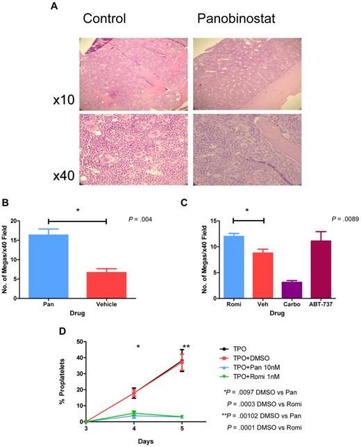 Figure 3. HDACIs increase megakaryocyte numbers but reduce proplatelet extensions. (A) Representative images of hematoxylin- and eosin-stained bone marrow from mice after treatment with daily IP panobinostat 10 mg/kg or vehicle for 4 days, demonstrating megakaryocytic hyperplasia in panobinostat-treated mice. (B) C57BL/6 mice were treated with daily IP panobinostat 10 mg/kg (Pan) or vehicle for 4 days. Bone marrow was harvested for histology, and the number of megakaryocytes seen in at least 10 × 40 high-powered microscopy fields were counted and plotted. Error bars represent SEM. Results were compared using the 2-tailed unpaired t test. (C) C57BL/6 mice were treated with daily IP romidepsin 1 mg/kg (Romi) or vehicle for 4 days, daily IP ABT-737 75 mg/kg for 4 days, or a carboplatin 100 mg/kg single dose IP on day 2. Shown are bone marrow megakaryocyte numbers in mice treated with daily IP romidepsin 1 mg/kg or vehicle, a carboplatin 100 mg/kg single dose, or daily IP ABT-737 75 mg/kg. Bone marrow was harvested for histology and the number of megakaryocytes seen in at least 10 × 40 high-powered microscopy fields were counted and plotted. Error bars represent standard error of the mean. Results were compared using the 2-tailed unpaired t test. (D) Murine fetal liver cells were cultured with 100 ng/mL of TPO for 3 days, after which time large megakaryocytes were collected using a 3%/1.5% BSA gradient. Megakaryocytes were plated out with 100 ng/mL of TPO alone or in the presence of 10nM panobinostat, 1nM romidepsin, or dimethyl sulfoxide in triplicate. The proportion of megakaryocytes elaborating proplatelets after treatment was counted for the next 3 days, with at least 500 cells counted for each sample. Error bars represent SEM. Results were compared using the 2-tailed unpaired t test.