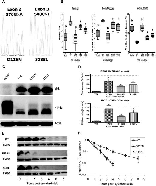 Figure 1. VHL mutations result in impaired VHL function and increased HIF activation. Mutant proteins are unstable in vitro. (A) Electropherogram showing G/A heterozygosity at base 376 (predicting a change from Aspartic Acid to Asparagine at residue 126) and C/T heterozygosity at base 548 (predicting a change from Serine to Leucine at residue 187). (B) RCC10 cell pools stably expressing either the D126N or S183L mutants show reductions in media pH, reduced levels of glucose and increased levels of lactate (consistent with up-regulated glycolytic metabolism) compared with pools expressing wild type (WT) protein. A nonfunctional VHL mutant (N78S) is presented as a comparison. (C) Western blotting shows increased levels of HIF-1α protein in lysates obtained from D126N and S183L RCC10 cell pools compared with WT RCC10 pools. (D) QPCR analysis of mutant RCC10 pools show increased expression of HIF-1α target genes compared with WT pools. (E) The rate of reduction in protein expression was measured after addition of cycloheximide to inhibit protein translation. This was increased in mutant 786-O cell pools. Quantification of VHL protein (after normalization to HSP90 loading control) is represented graphically in panel F.