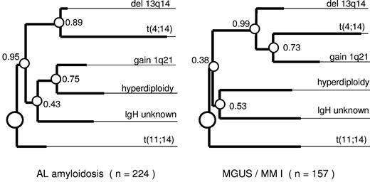 Figure 4. The clustering of the major cytogenetic aberrations (gain of 1q21, hyperdiploidy, t(11;14), t(4;14), IgH split with unknown translocation partner, and deletion of 13q14) in an oncogenetic tree model of AL ± MM I and MGUS/MM I. The complete dataset with all 6 branches tested is complete in 241 of 246 AL and in 176 of 180 MGUS/MM I patients. At least one of the 6 investigated aberrations was detected in 93% (n = 224) of the evaluable AL patients and in 89% (n = 157) of the MGUS/MM I patients. The length of each horizontal edge e is proportional to −log(pe). Bootstrap confidence values (in percentage) for the inner nodes are given, based on 500 bootstrap samples. Besides the clusters shown in this figure, t(4;14) clustered together with gain 1q21, del 13q14, and hyperdiploidy in 46% of the bootstrap samples for AL cases and in 22% for MGUS/MM I cases.