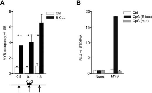 Figure 2. MYB binds and stimulates MIR155HG. (A) MYB occupancy within MIR155HG locus determined by ChIP, using anti-Myb (EP769Y) or control antibodies and carried out on cross-linked chromatin isolated from B-CLL cells (N = 6, average value indicated by black bars, patients included P40, P39, P47, P250, P254, and P255) and normal B cells (N = 6, white bars; “Patients and cells”). The y-axis indicates the relative occupancy of MYB. The x-axis marks the positions (in kilobases) of PCR amplicons relative to TSS (supplemental Data A). Black arrows indicate the positions of MYB DNA binding motifs; and black box, position of the CpG island (supplemental Data A). Error bars represent SEM of 3 independent experiments. *P < .05. (B) HeLa cells transiently transfected with pGL4.17 reporter vector containing the MYB binding site (−399 to −394 bp; black bars), its deletion mutant (gray bars), or a control reporter plasmid (Ctrl, white bars). Reporter vectors were transfected either alone (None) or cotransfected with MYB cDNA expression vector (MYB), and the luciferase activity at 48 hours (RLU) is shown relative to a control vector. The background activity was subtracted, and data were normalized to protein content. Average values and SD of at least 2 independent experiments are plotted.