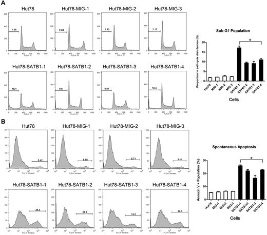 Figure 5. Cell-cycle and apoptosis analysis by flow cytometry. SATB1-transduced and control cell clones were analyzed in propidium iodide cell-cycle analysis (A) and annexin V binding-based apoptosis assay (B). (A) Each cell cycle is composed of G1, S, G2 stages, as well as sub-G1 stage, which represents the apoptotic or dead population of cells. Proportions of sub-G1 stage are indicated as no. (%). Chart on right: SATB1-transduced cells revealed increased sub-G1 population in contrast to the control cells. (B) Proportions of annexin V+ population, which represents apoptotic and dead cells are indicated as no. (%). Chart on right: SATB1-transduced cells revealed increased annexin V population in contrast to the control cells. Hut78 indicates parental untransduced Hut78 cells; MIG-1 to MIG-3, Hut78 cell clones transduced with empty MIG vector; and SATB1-1 to SATB1 4, Hut78 cell clones transduced with MIG vector containing SATB1. *P < .05 by Mann-Whitney U test.