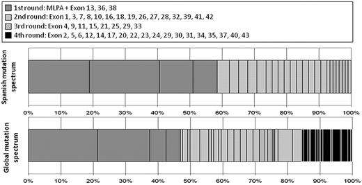 Figure 2. Strategy designed for optimization of FANCA mutation screening based on the Spanish mutational spectrum. It consists of 4 rounds of exon sequencing and an MLPA (included in first round). (Upper panel) Proportion of mutations identified in each round, in Spanish FA-A white population. (Lower panel) Percentage of worldwide mutations from the FA Mutation Database that would be identified following the same strategy.