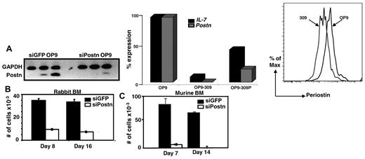 Figure 2. Rabbit and murine BM cells cocultured with Postn siRNA OP9 or GFP siRNA OP9 cells. (A) SqRT-PCR for Postn in stable transfectants of GFP siRNA OP9 and Postn siRNA cells (left). QRT-PCR for Postn and IL-7 in OP9, OP9-309, and OP9-309P cells; expression levels were normalized to Hgprt housekeeping gene (similar results were obtained in 2 independent experiments; middle). Flow cytometric analysis of OP9 and OP9-309 cells stained with anti–periostin Ab (right). (B-C) Total number of nonadherent cells harvested 1 and 2 weeks after coculture of 10 000 total rabbit (B) and murine (C) BM cells with GFP siRNA OP9 and Postn siRNA OP9 (OP9-309) cells. Error bars are SEM from triplicate wells. Results are representative of 3 experiments.
