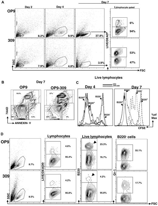 Figure 4. Cell death, proliferation, and differentiation of BM cells with periostin-deficient OP9-309 cells. (A) Flow cytometric analysis of cells arising from cocultures of total BM and OP9 or OP9-309 cells after 2, 4, and 7 days. The lymphocyte gates are indicated in percentages; cell death was determined at day 7 (LIVE/DEAD staining). (B) After 7 days in cultures, apoptosis in the lymphocyte populations from OP9 and OP9-309 cultures was assayed by staining cells with 7-AAD and Annexin V and analyzing the cells by flow cytometry. (C) Flow cytometric analysis of CFSE distribution in BM cells after 4 and 7 days in culture (solid gray and black lines indicate cells from OP9 cultures; and dotted black and gray lines, cells from OP9-309 cultures). (D) Flow cytometry of LSK cultured 7 days on either OP9 or OP9-309 cells. The data are representative of 2 experiments.