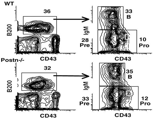 Figure 7. Flow cytometric analysis of BM cells from wild-type (WT) and Postn−/− mice. BM cells from 16-week-old mice were analyzed for the expression of B220 and for CD43 (left) and for surface IgM and CD43 within the B220+ population (right). Numbers indicate the percentages of various lymphocyte stages: pre indicates pre-B stage; and pro, pro-B stage. Similar results were obtained in ≥ 3 separate experiments and also with BM of 3-week-old mice; a total of 10 mice were examined.