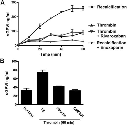 Figure 3. Active thrombin is a relatively poor inducer of GPVI shedding. (A) sGPVI measured in either recalcified citrated PRP in the absence or presence of 0.2 U/mL enoxaparin that inhibits FXa and thrombin, or citrated PRP treated with 1 U/mL thrombin in the absence or presence of 1 μg/mL rivaroxaban that selectively inhibits FXa. (B) sGPVI was measured in citrated PRP, either untreated or treated with thrombin in the absence or presence of 5 U/mL hirudin or 100μM GM6001.