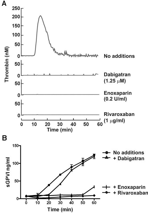 Figure 4. FXa inhibitor blocks coagulation-induced GPVI shedding. Coagulation in citrated PRP induced by recalcification in the absence or presence of 0.2 U/mL enoxaparin (FXa and thrombin inhibitor), 1.25μM dabigatran (selective thrombin inhibitor), or 1 μg/mL rivaroxaban (selective FXa inhibitor). Thrombin generation assessed by the calibrated automated thrombin assay (A) was completely blocked by all inhibitors, whereas coagulation-induced sGPVI generation measured by ELISA (B) was blocked completely by rivaroxaban and enoxaparin, but only marginally attenuated by thrombin inhibitor, dabigatran.