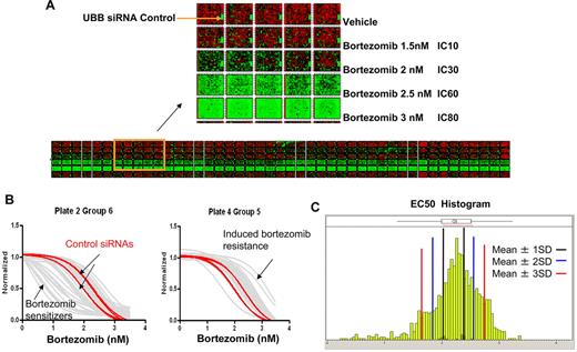 Figure 1. Druggable genome siRNA screen to identify genes that affect bortezomib sensitivity. (A) Heat map of raw data of all 384-well plates in primary HTS. KMS11 cells were reversely transfected with 2 siRNAs per gene from druggable genome siRNA library alongside staggered negative and positive control siRNAs. After 24-hour transfection, various doses of bortezomib were added and cell viability was determined at 96 hours (72 hours after bortezomib) by CellTiter-Glo luminescence assay read. The collected data were imported to generate this heat map to overview screen results and to evaluate screen quality. (B) The representative curve-fitting result from secondary screening. Dose-response curves fitted to the data of siRNAs from 2 groups. Red represents control siRNAs + bortezomib; and gray one siRNA + bortezomib. (C) Histogram of EC50 values derived from the dose-response curves of all siRNAs from secondary screen. Black, blue, and red lines indicate 1, 2, and 3 SDs from the control mean, respectively.